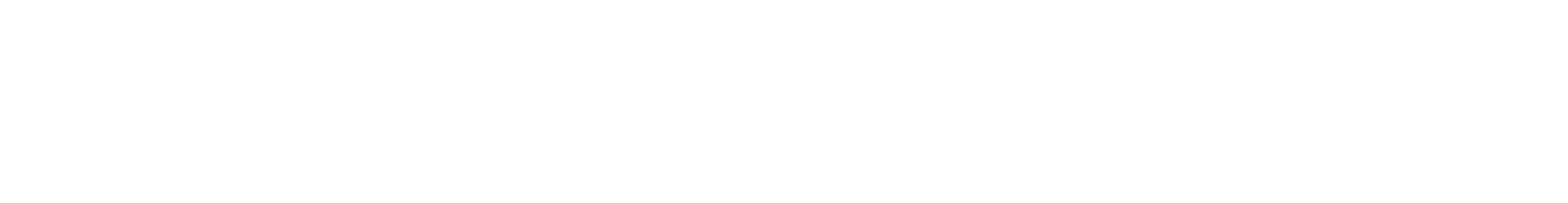 Reform FC